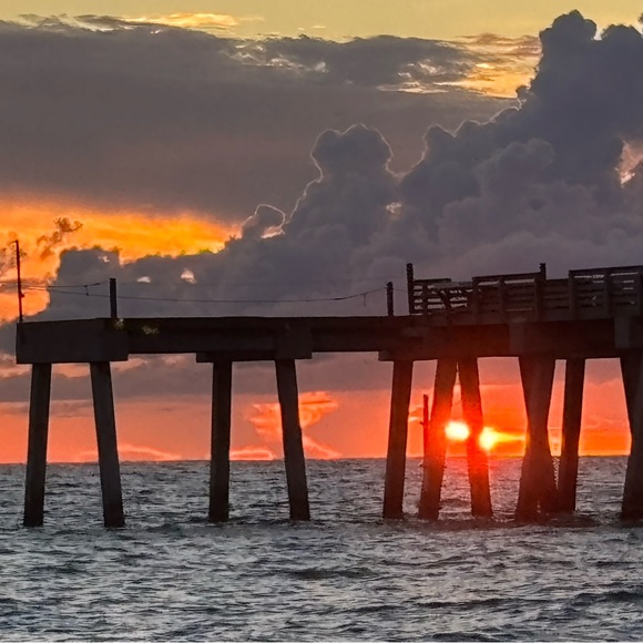 Meet your Posher, Michele - Picture 4 of 16